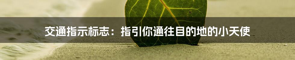 交通指示标志：指引你通往目的地的小天使