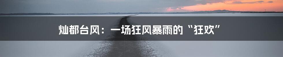 灿都台风:一场狂风暴雨的“狂欢”