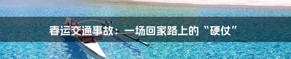 春运交通事故:一场回家路上的“硬仗”