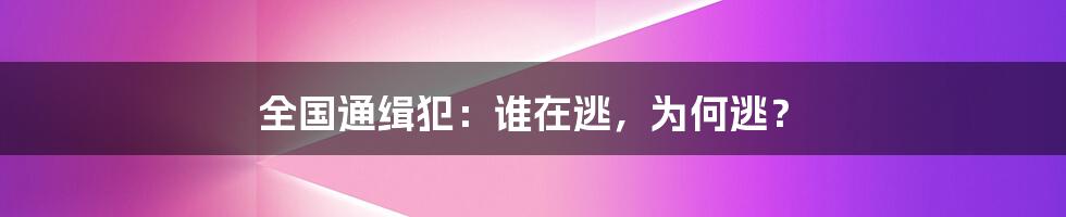 全国通缉犯:谁在逃,为何逃?