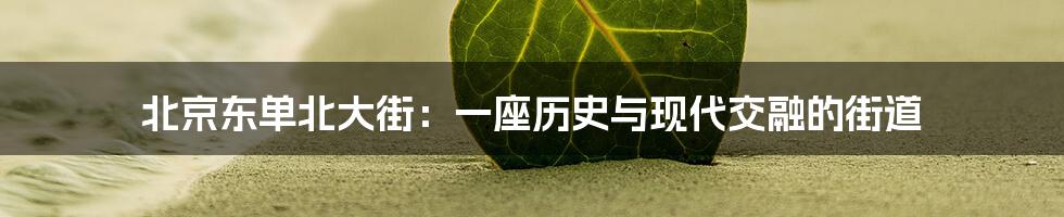 北京东单北大街:一座历史与现代交融的街道