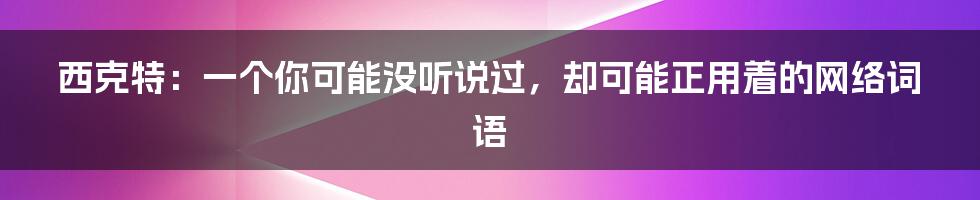 西克特:一个你可能没听说过,却可能正用着的网络词语