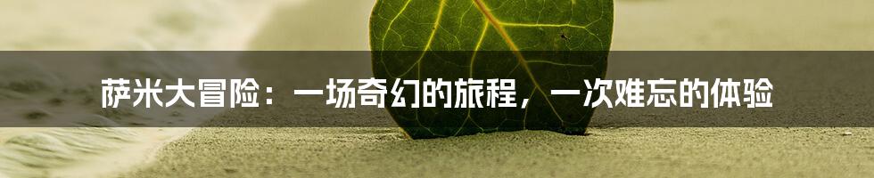萨米大冒险:一场奇幻的旅程,一次难忘的体验