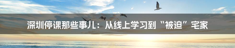 深圳停课那些事儿:从线上学习到“被迫”宅家