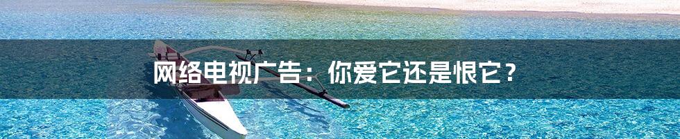 网络电视广告:你爱它还是恨它?