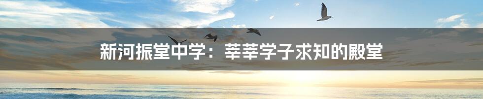 新河振堂中学:莘莘学子求知的殿堂