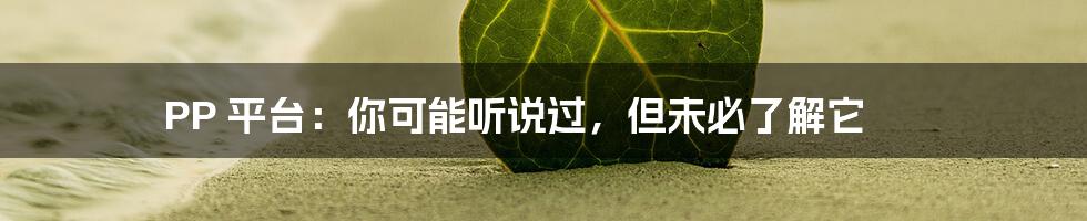 PP 平台：你可能听说过，但未必了解它