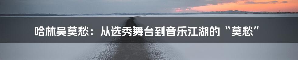 哈林吴莫愁:从选秀舞台到音乐江湖的“莫愁”