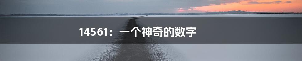 14561:一个神奇的数字
