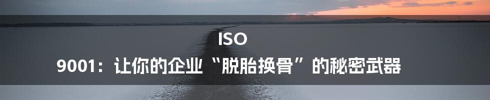 ISO 9001:让你的企业“脱胎换骨”的秘密武器