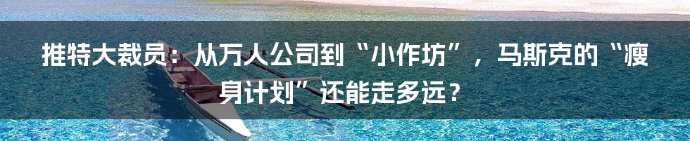 推特大裁员:从万人公司到“小作坊”,马斯克的“瘦身计划”还能走多远?