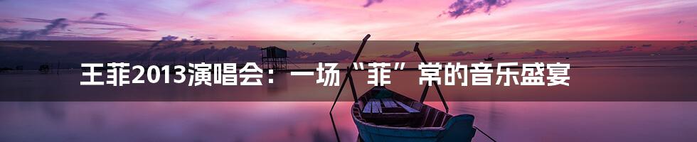 王菲2013演唱会：一场“菲”常的音乐盛宴