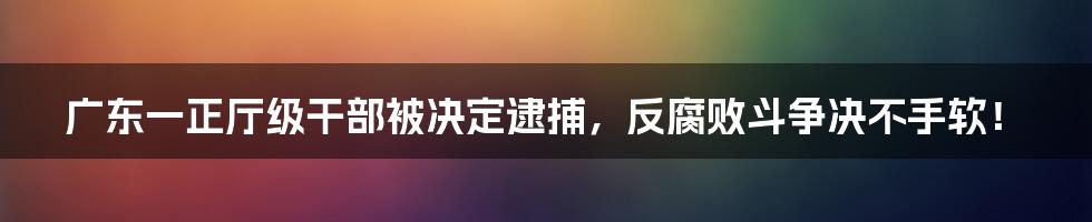 广东一正厅级干部被决定逮捕,反腐败斗争决不手软!