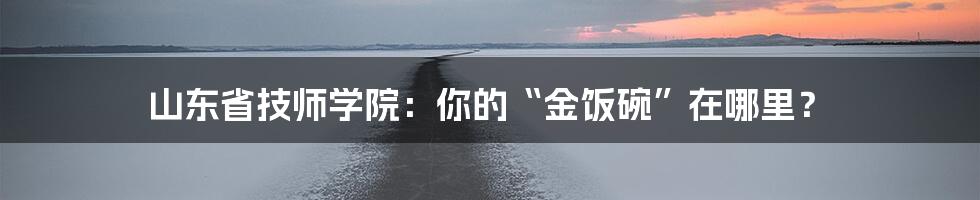 山东省技师学院:你的“金饭碗”在哪里?