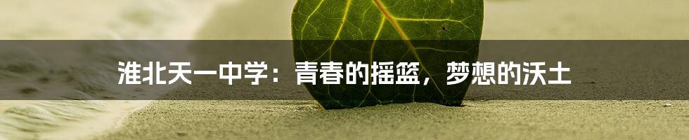 淮北天一中学：青春的摇篮，梦想的沃土