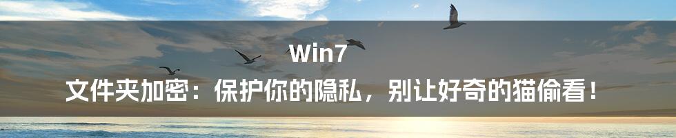 Win7 文件夹加密：保护你的隐私，别让好奇的猫偷看！
