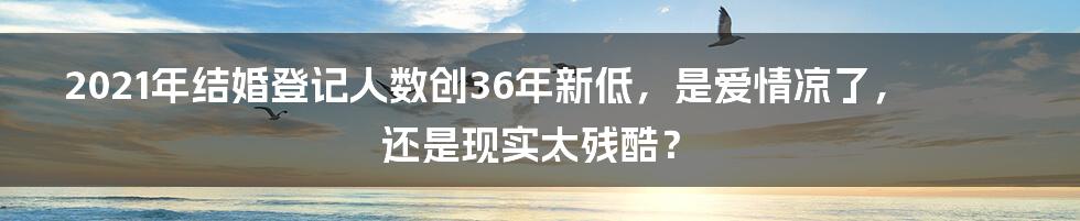 2021年结婚登记人数创36年新低,是爱情凉了,还是现实太残酷?