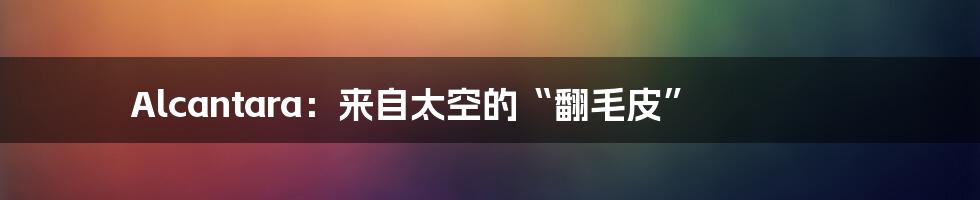 Alcantara:来自太空的“翻毛皮”