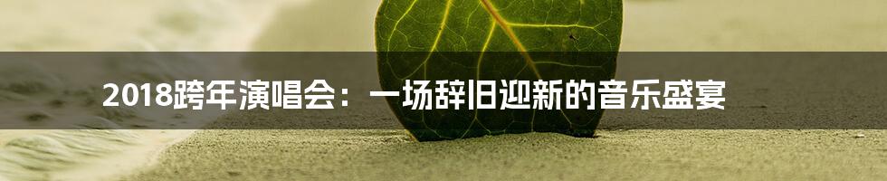 2018跨年演唱会：一场辞旧迎新的音乐盛宴