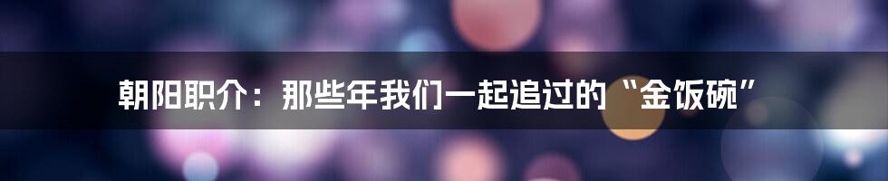 朝阳职介:那些年我们一起追过的“金饭碗”