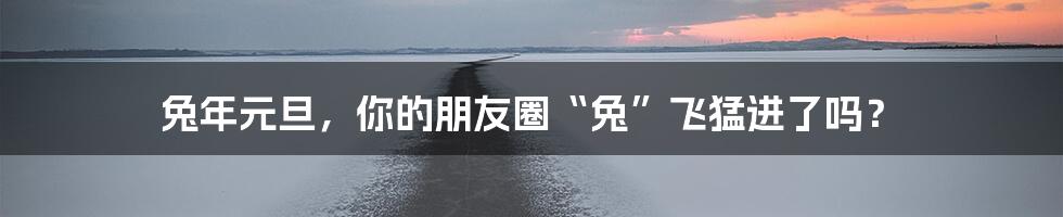 兔年元旦，你的朋友圈“兔”飞猛进了吗？