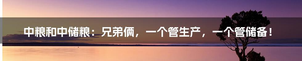 中粮和中储粮：兄弟俩，一个管生产，一个管储备！