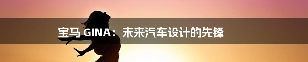 宝马 GINA:未来汽车设计的先锋