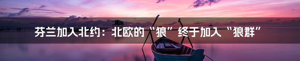 芬兰加入北约：北欧的“狼”终于加入“狼群”