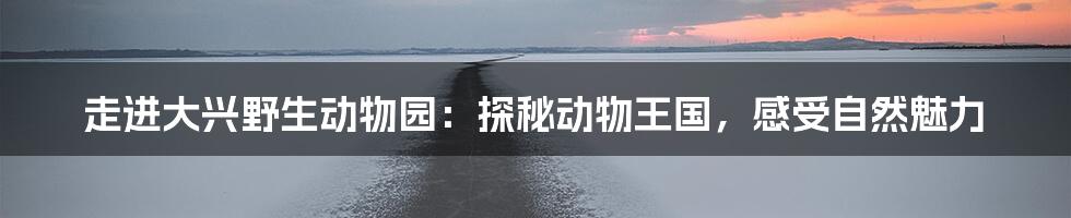 走进大兴野生动物园：探秘动物王国，感受自然魅力