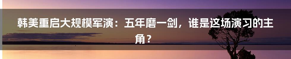 韩美重启大规模军演:五年磨一剑,谁是这场演习的主角?