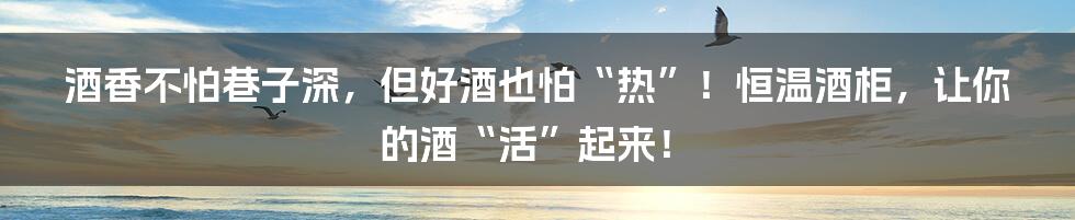 酒香不怕巷子深,但好酒也怕“热”!恒温酒柜,让你的酒“活”起来!