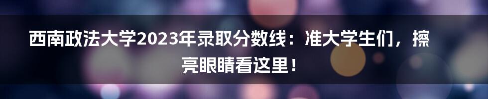 西南政法大学2023年录取分数线:准大学生们,擦亮眼睛看这里!
