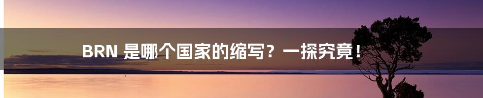 BRN 是哪个国家的缩写?一探究竟!