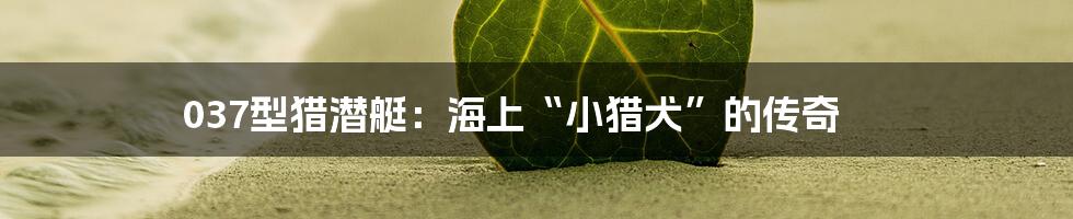 037型猎潜艇：海上“小猎犬”的传奇