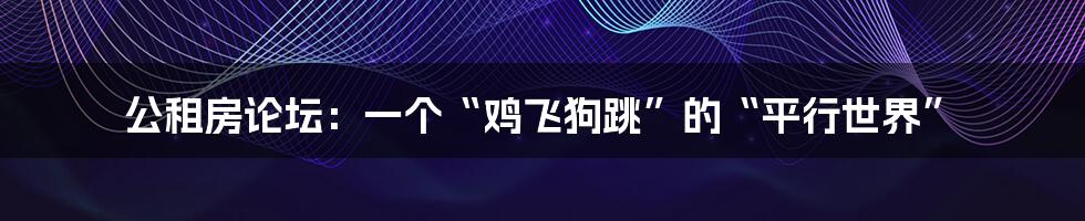 公租房论坛:一个“鸡飞狗跳”的“平行世界”