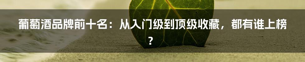 葡萄酒品牌前十名:从入门级到顶级收藏,都有谁上榜?