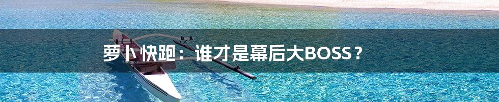 萝卜快跑：谁才是幕后大BOSS？