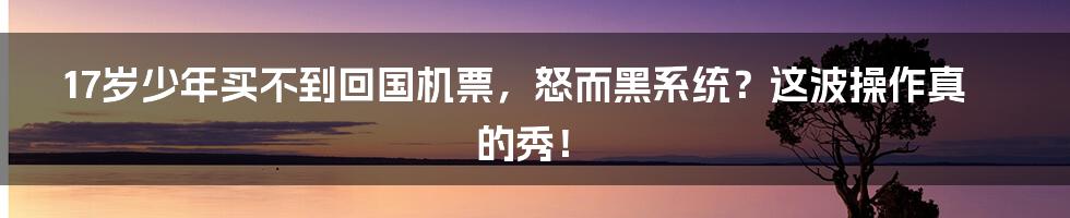 17岁少年买不到回国机票,怒而黑系统?这波操作真的秀!