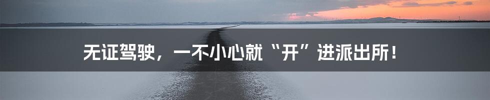 无证驾驶,一不小心就“开”进派出所!