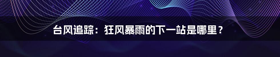 台风追踪:狂风暴雨的下一站是哪里?