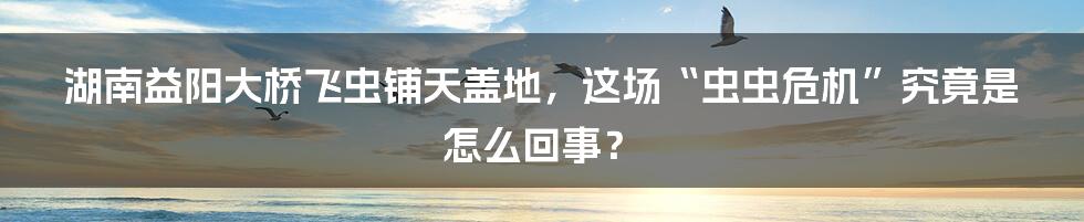 湖南益阳大桥飞虫铺天盖地,这场“虫虫危机”究竟是怎么回事?