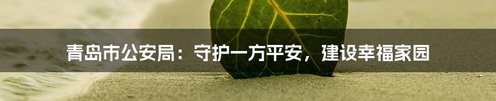青岛市公安局:守护一方平安,建设幸福家园
