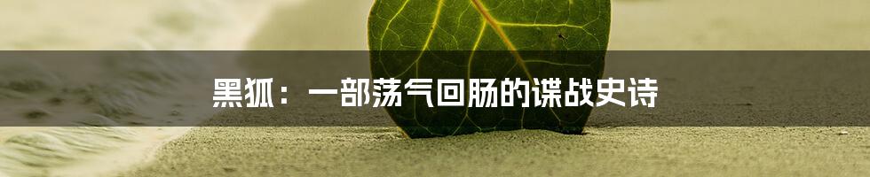 黑狐:一部荡气回肠的谍战史诗