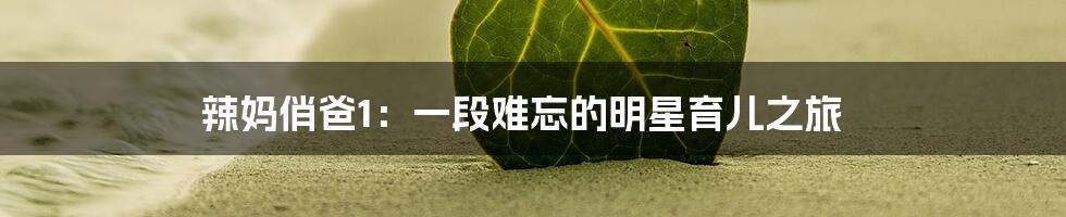 辣妈俏爸1：一段难忘的明星育儿之旅