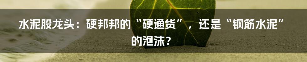 水泥股龙头：硬邦邦的“硬通货”，还是“钢筋水泥”的泡沫？