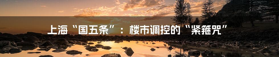 上海“国五条”:楼市调控的“紧箍咒”