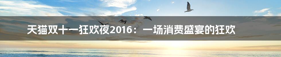 天猫双十一狂欢夜2016:一场消费盛宴的狂欢