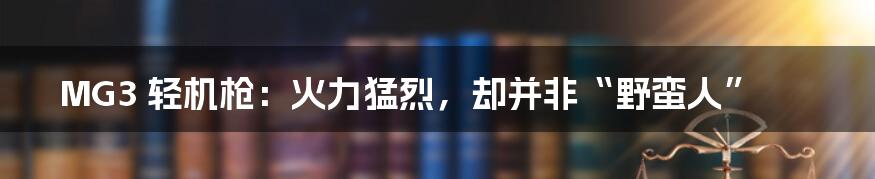 MG3 轻机枪:火力猛烈,却并非“野蛮人”