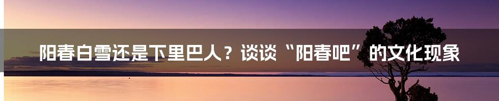 阳春白雪还是下里巴人?谈谈“阳春吧”的文化现象