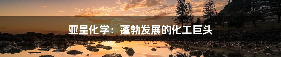 亚星化学:蓬勃发展的化工巨头